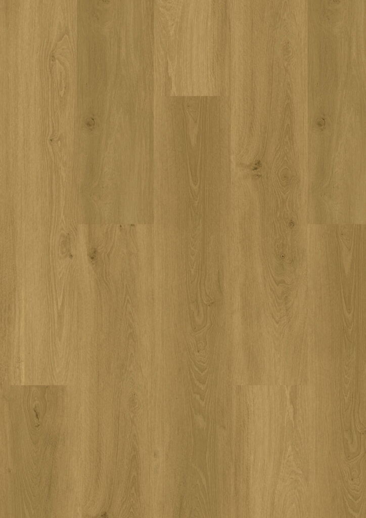 Kolekcja Designboden 555 JOKA imitacja dębu